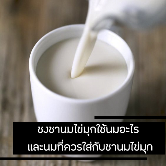 ชงชานมไข่มุกใช้นมอะไร และนมที่ควรใส่กับชานมไข่มุก