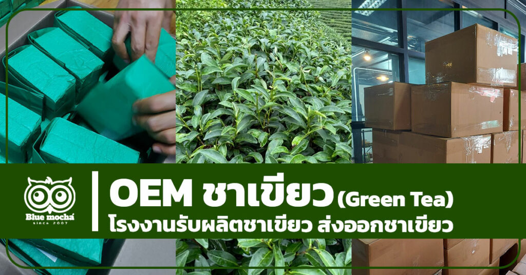 OEM ชาเขียว (OEM Green Tea)โรงงานรับผลิตชาเขียว ส่งออกชาเขียว 