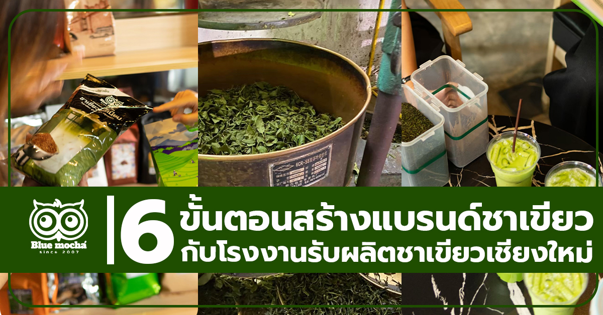 6 ขั้นตอนสร้างแบรนด์ชาเขียว กับโรงงานรับผลิตชาเขียวเชียงใหม่