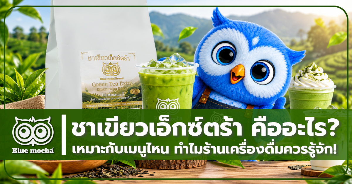 ชาเขียวเอ็กซ์ตร้า คืออะไร? เหมาะกับเมนูไหน ทำไมร้านเครื่องดื่มควรรู้จัก!
