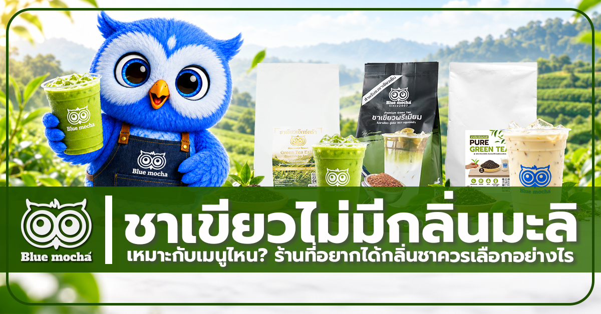 ชาเขียวไม่มีกลิ่นมะลิ เหมาะกับเมนูไหน? ร้านที่อยากได้กลิ่นชาควรเลือกอย่างไร