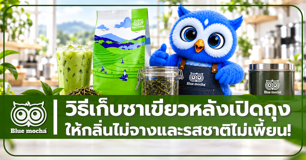 วิธีเก็บชาเขียวหลังเปิดถุง ให้กลิ่นไม่จางและรสชาติไม่เพี้ยน!